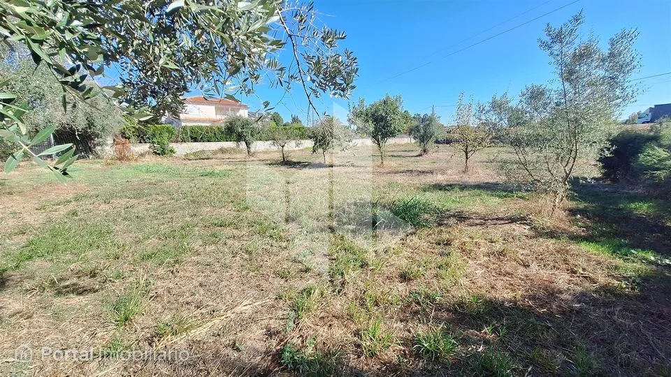 Terreno Para Construção Venda em Molelos,Tondela