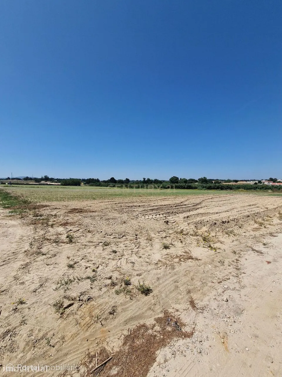 Terreno Rústico com 24.850 m² em Pinhal Novo, Palmela