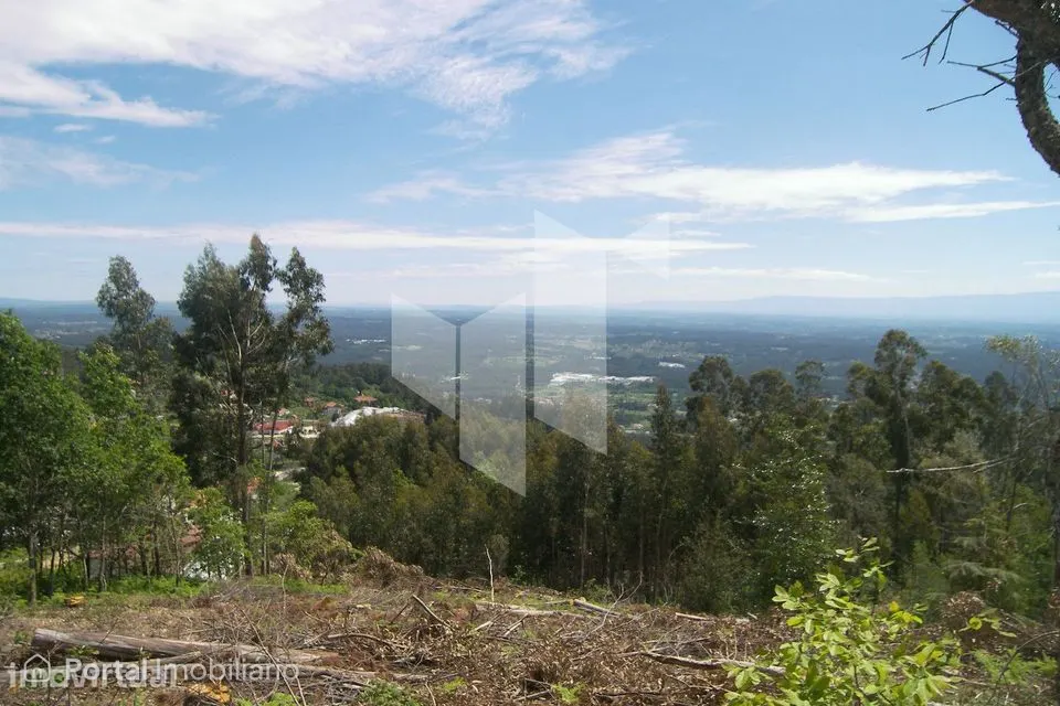 Terreno Para Construção Venda em Guardão,Tondela