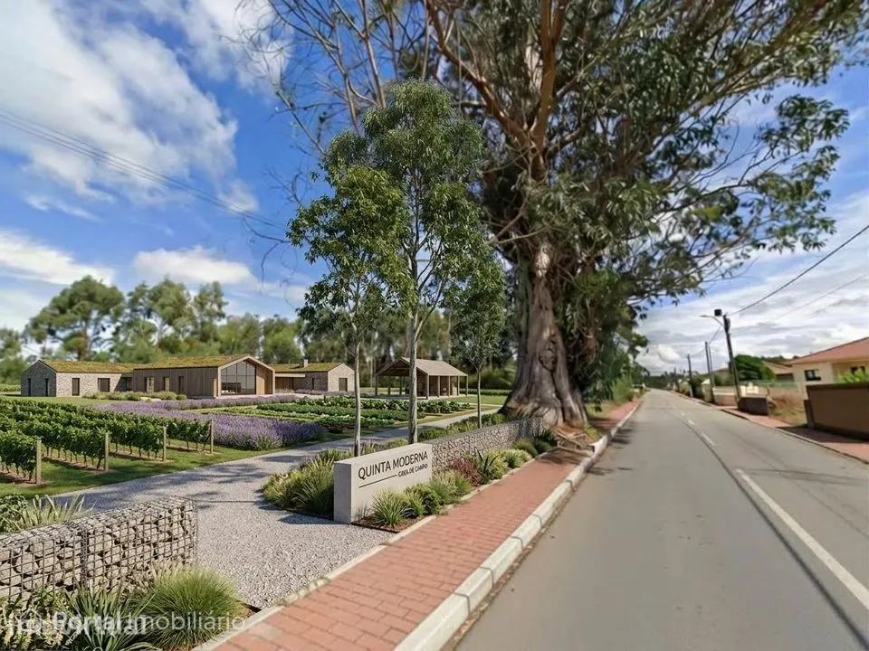 Terreno urbano com 3500m², acesso pavimentado e utilidades