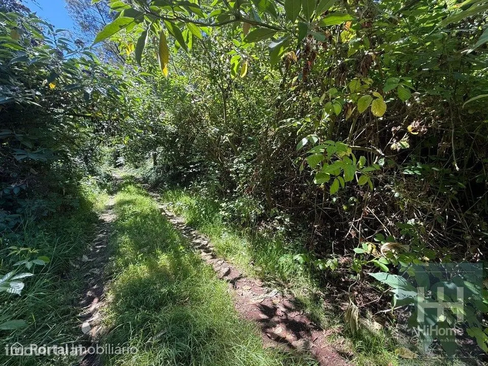 Terreno plano com 1.240 m² em São Jorge