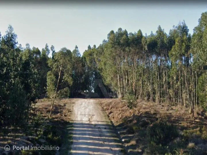 Land for sale in Torres Vedras