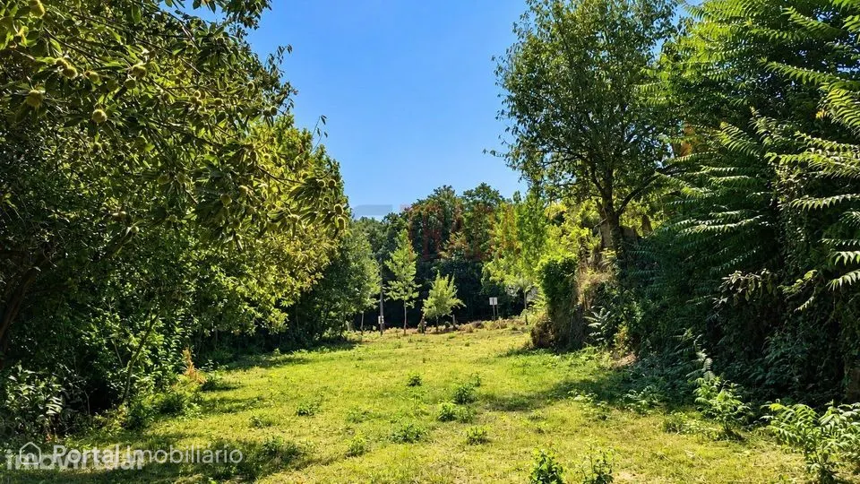 Terreno plano para construção | 1.600 m² | Balança – Terras de Bouro