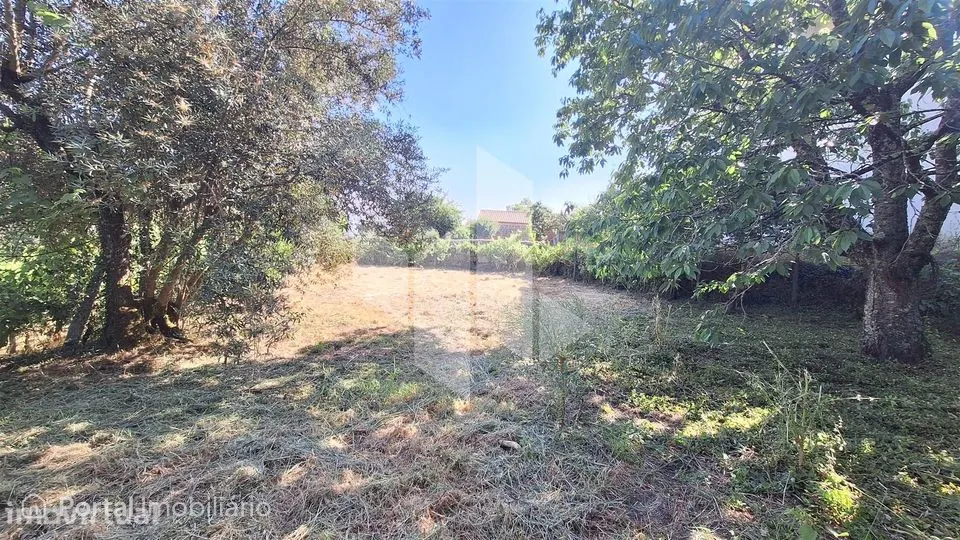 Terreno Para Construção Venda em Molelos,Tondela