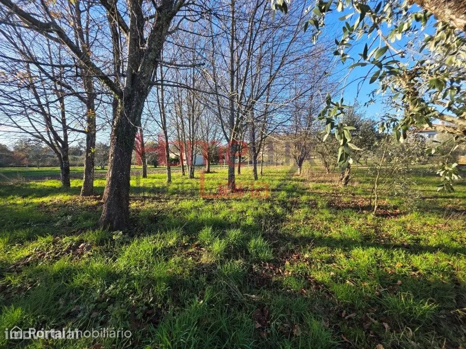 Terreno para venda em Vila Nova de Barreiros
