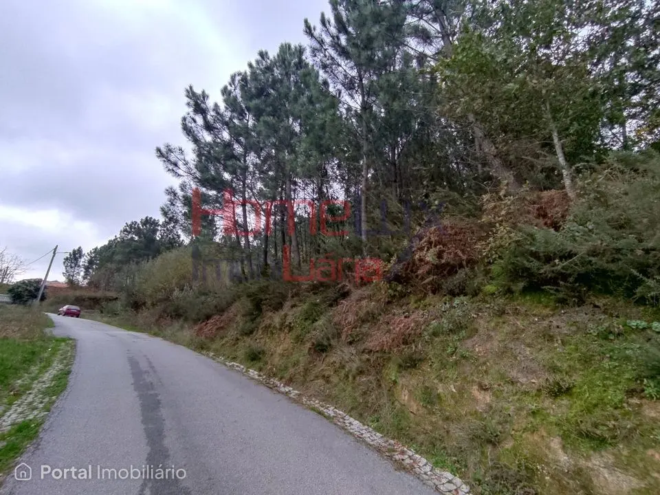 Terreno em Castro Daire