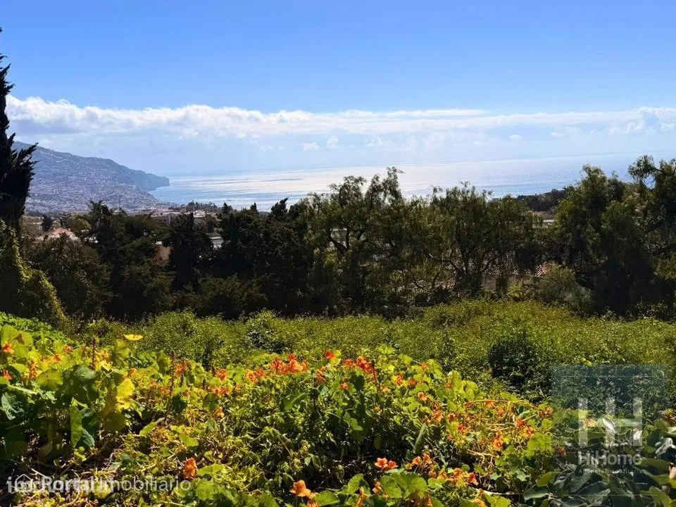 Terreno com 1.607 m2 para construção no Funchal