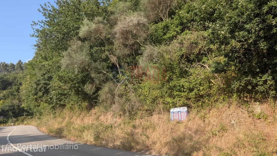 Venda 2 Terrenos Rústicos | 4.810 m² | Bons Acessos | Barros – Vila...
