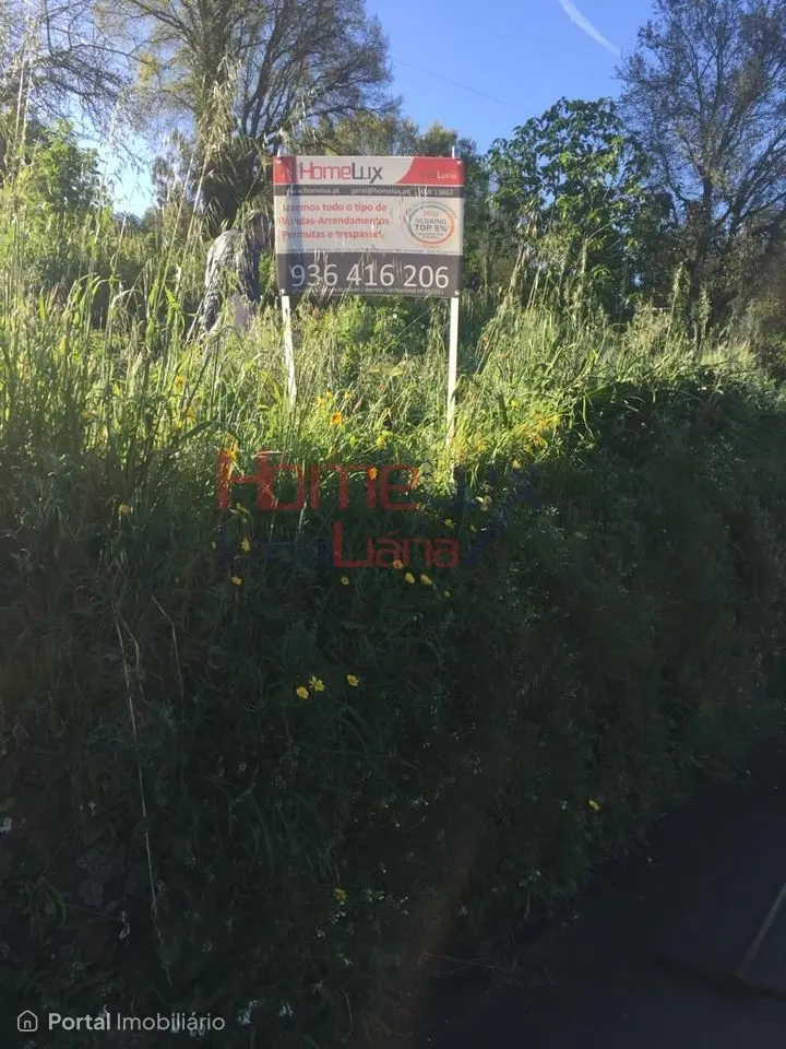 Terreno em Albergaria-A-Velha