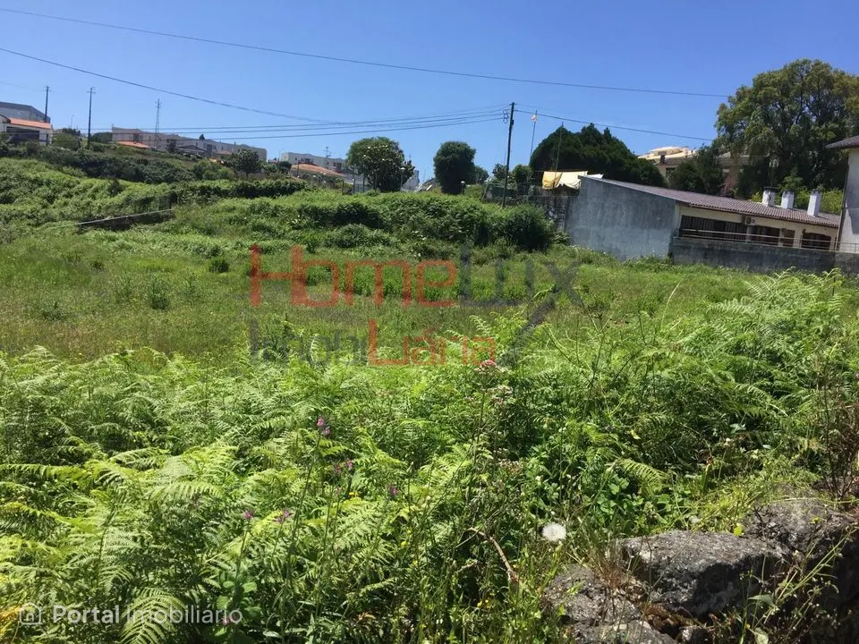 Land for sale in Branca