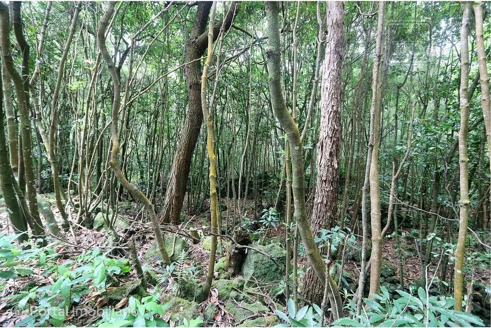 Terreno à venda em Calheta de São Jorge