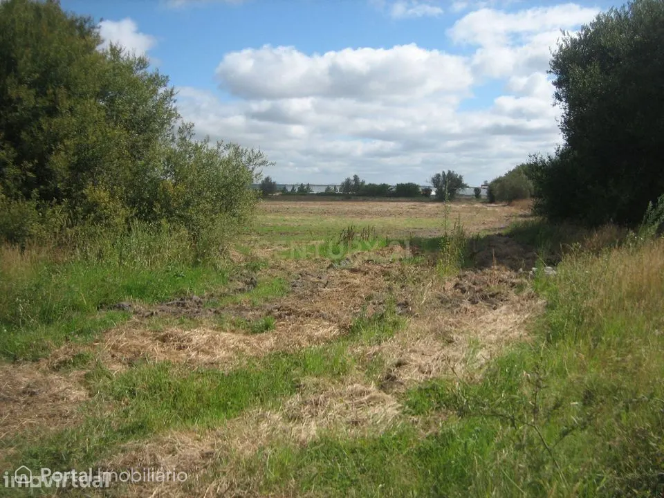 Terreno agrícola com 76.270m2