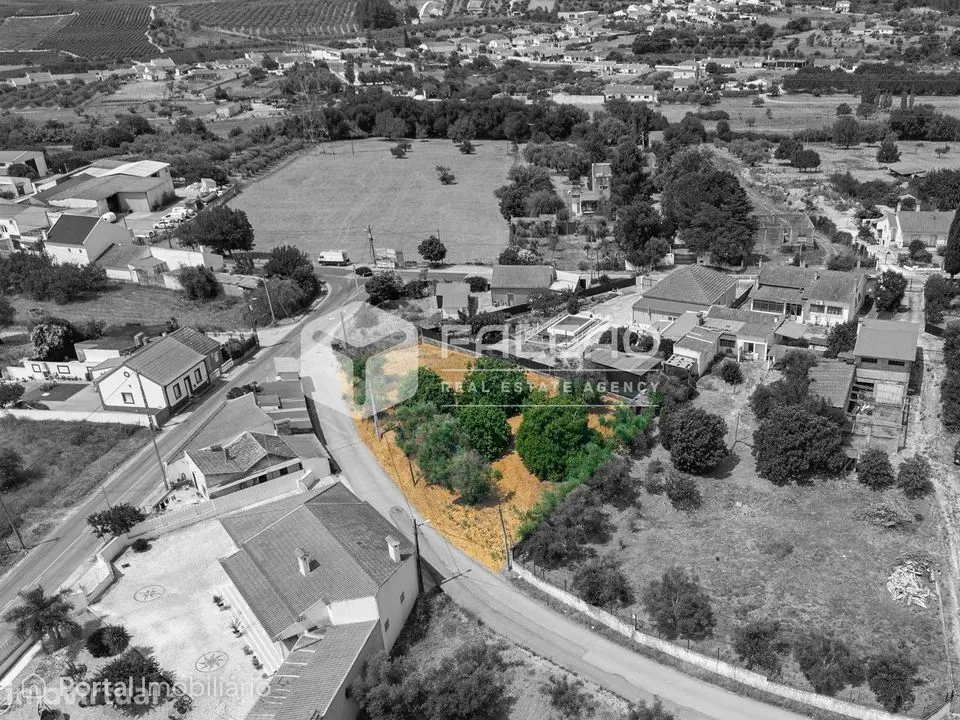Terreno Para Construção Venda em Alcanhões,Santarém