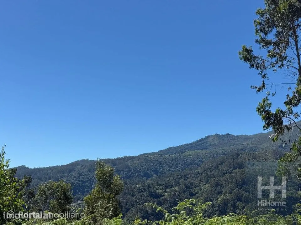 Terreno com 2.100 m² para construção em São Jorge