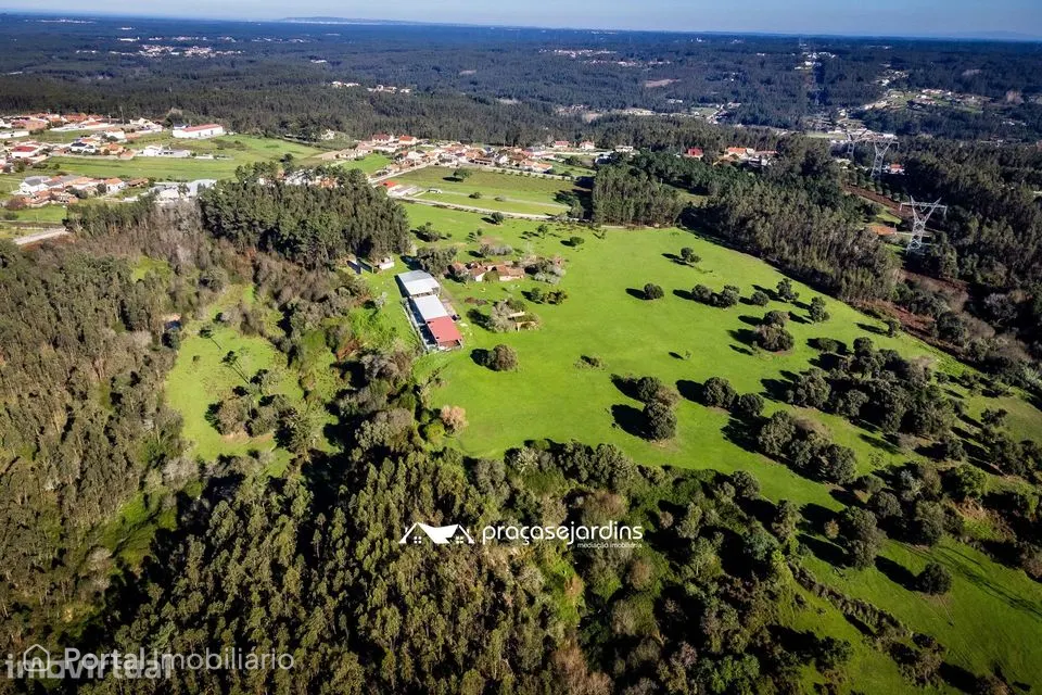 Magnifica Quinta em Zona Tranquila