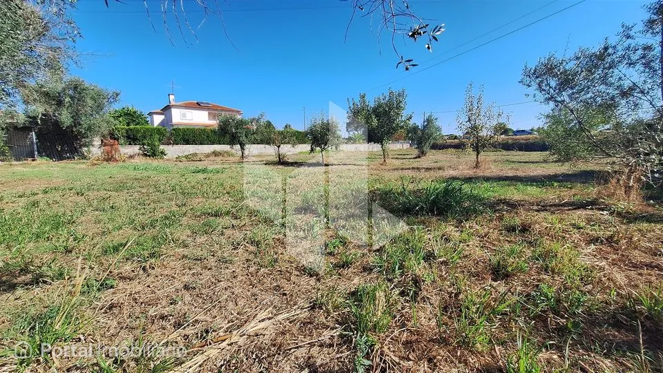 Terreno Para Construção Venda em Molelos,Tondela