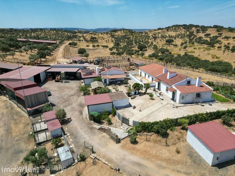 Herdade de 62 Hectares no Coração do Alentejo – Évora - Agricultura -