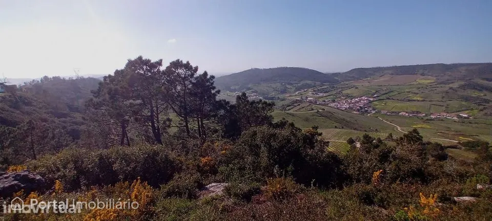 Terreno Rústico c/NASCENTE e eletricidade | 10 min Torres Vedras