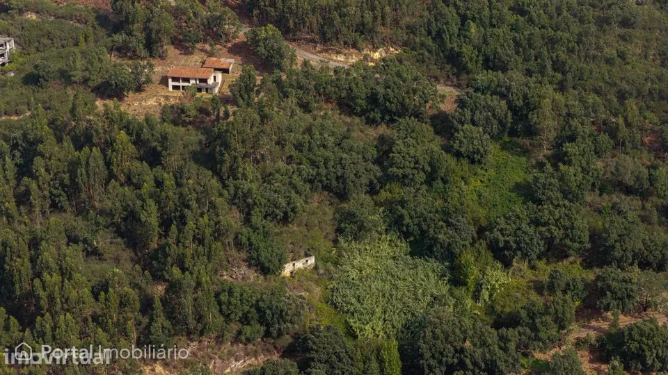 Oportunidade única Quinta da Cardia, Penha Longa, Marco de Canaveses