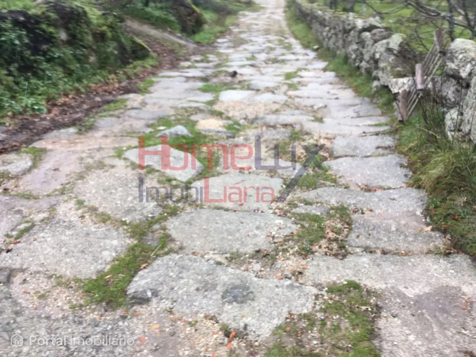 Quinta para venda em Carrapichana - Celorico da Beira