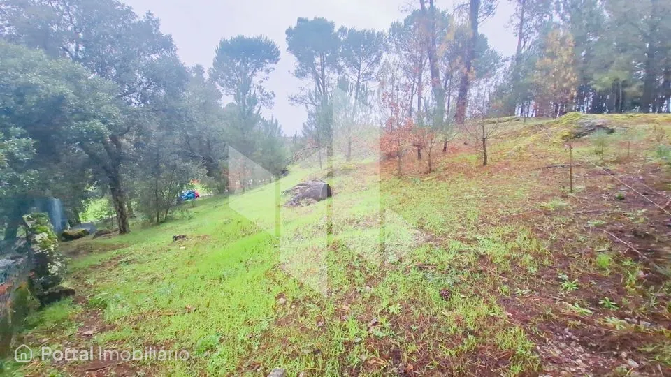 Terreno Para Construção Venda em Parada de Gonta,Tondela