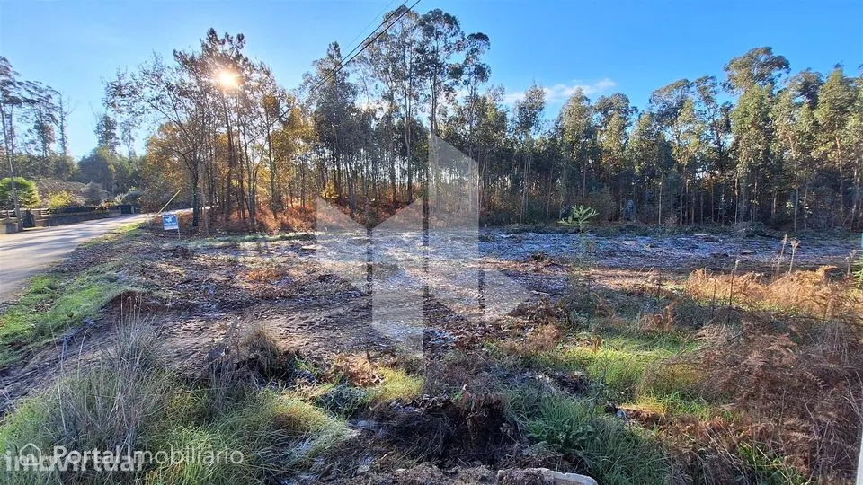 Terreno Para Construção Venda em Campo de Besteiros,Tondela