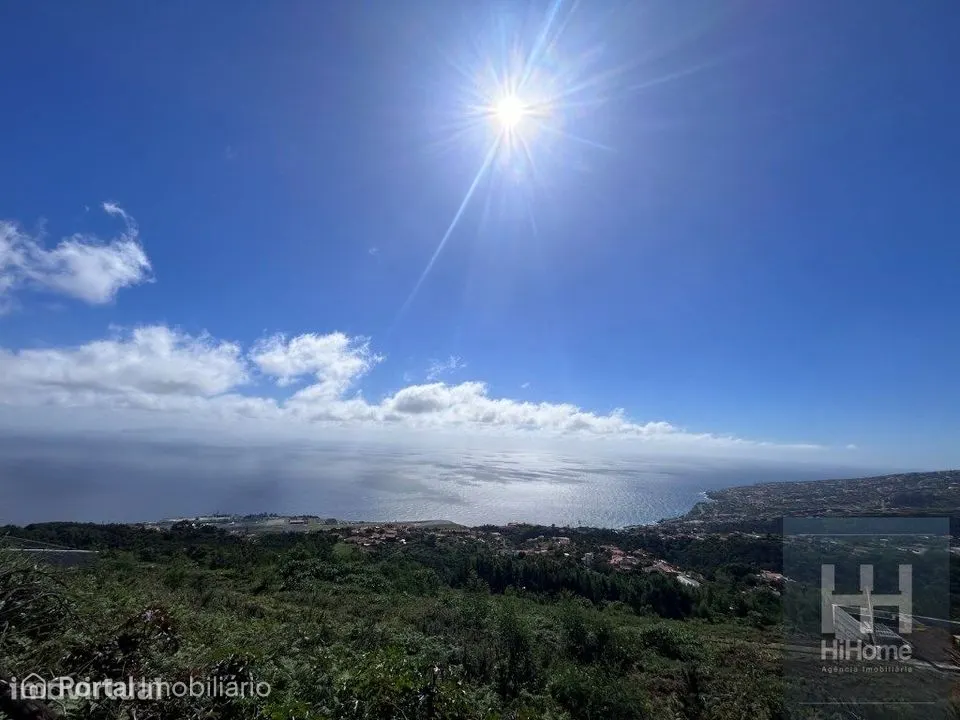 Land for sale in Santa Cruz