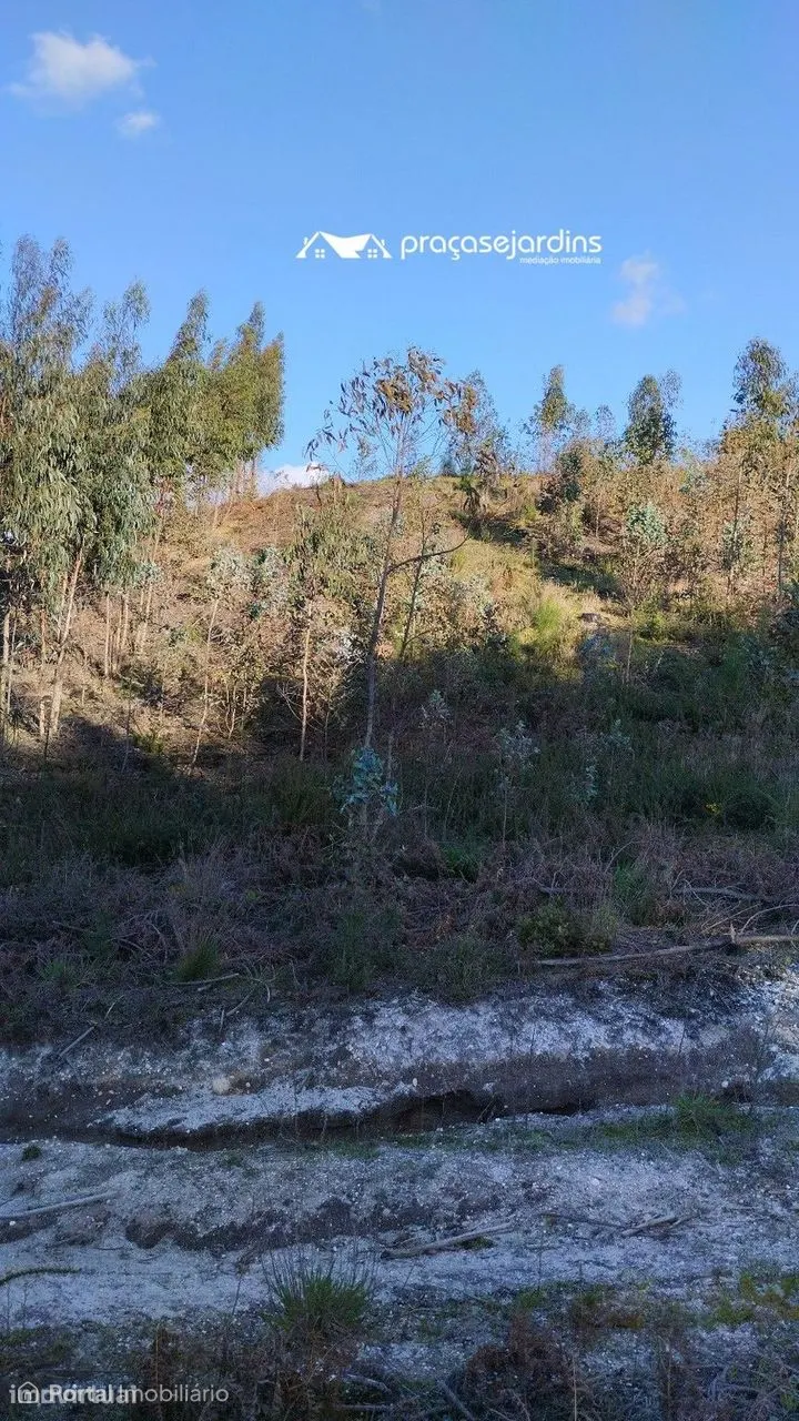 Terreno rustico