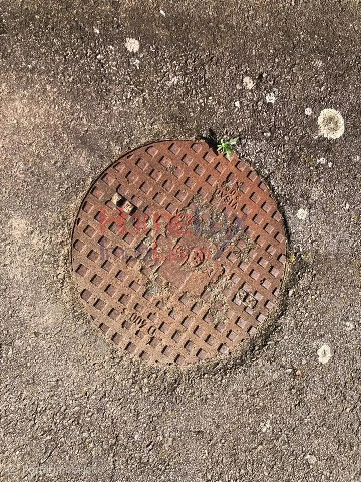 Terreno Urbano na Branca