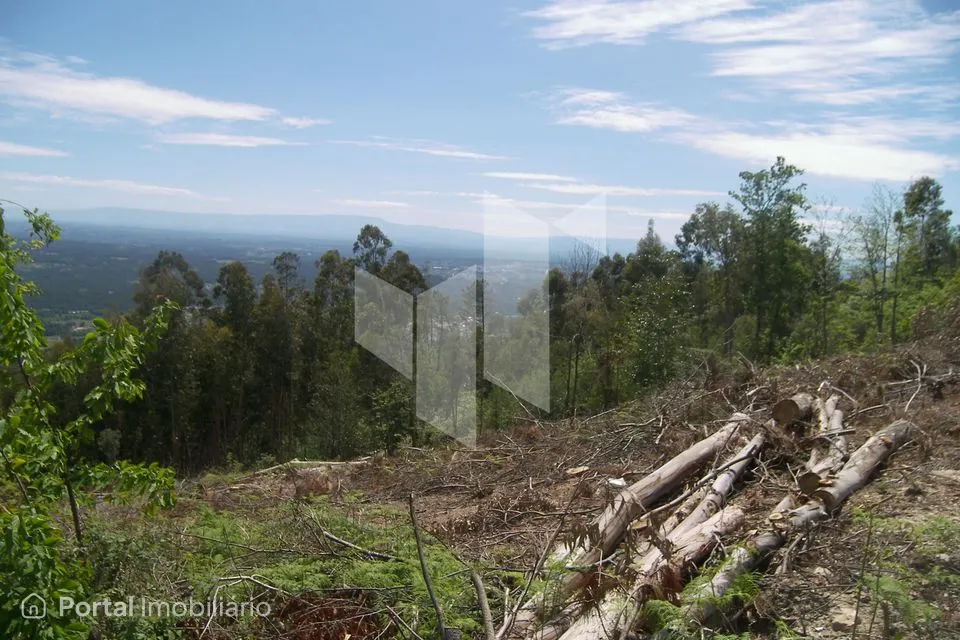 Terreno Para Construção Venda em Guardão,Tondela