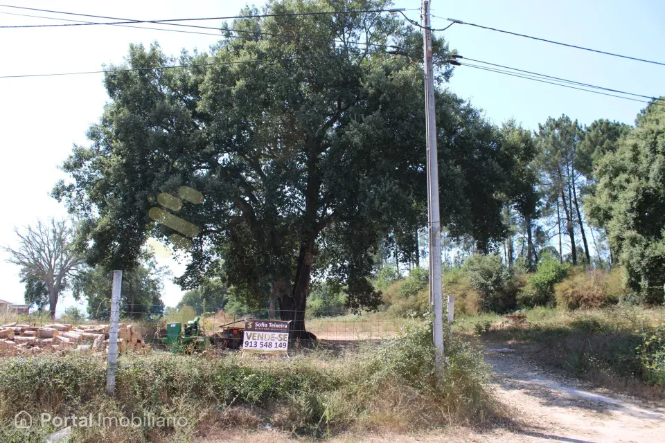 Terreno para Construção - Santo Isidoro e Livração- Marco de Canaveses Marco de Canaveses