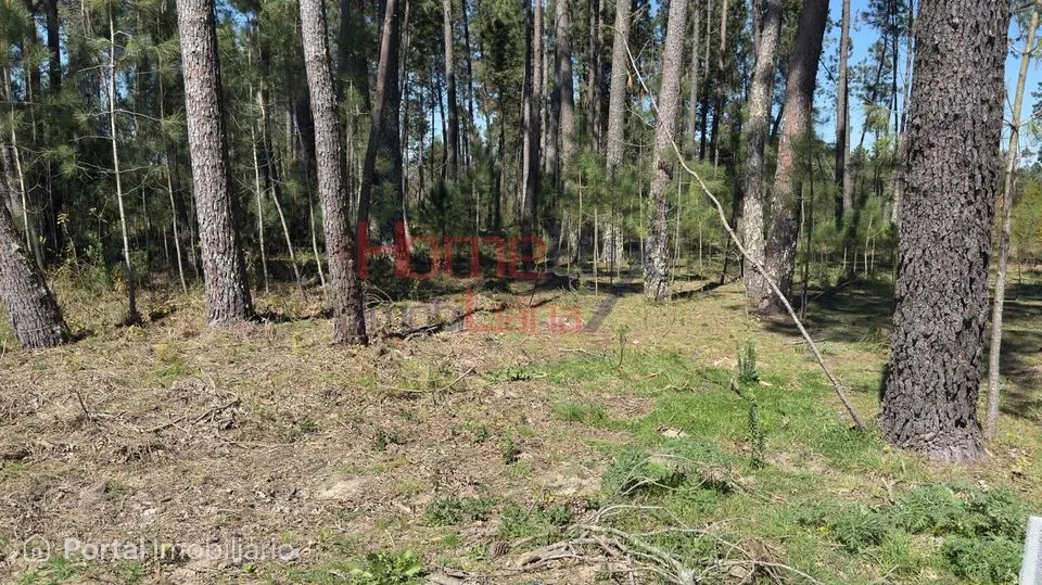 Land for sale in São João de Lourosa