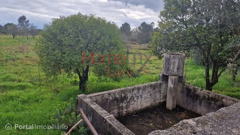 Terreno em Santiago de Besteiros