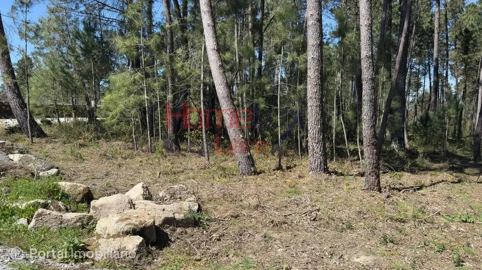 Land for sale in São João de Lourosa