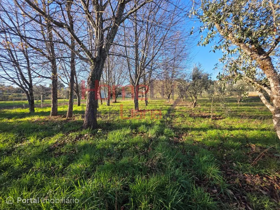 Terreno para venda em Vila Nova de Barreiros