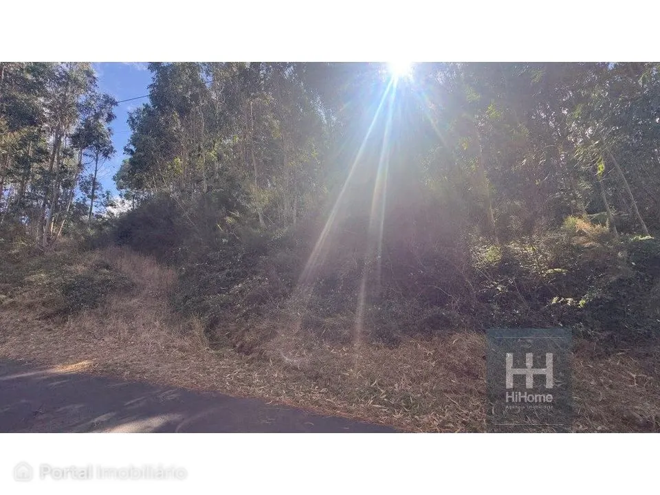 Terreno na Camacha com 4.880 m2 com PIP aprovado para construção de...