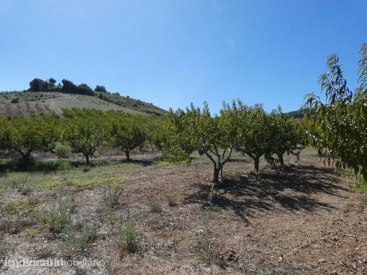 Terreno Agrícola (21437m²) c/ Viabilidade Construção Armazém Agrícola