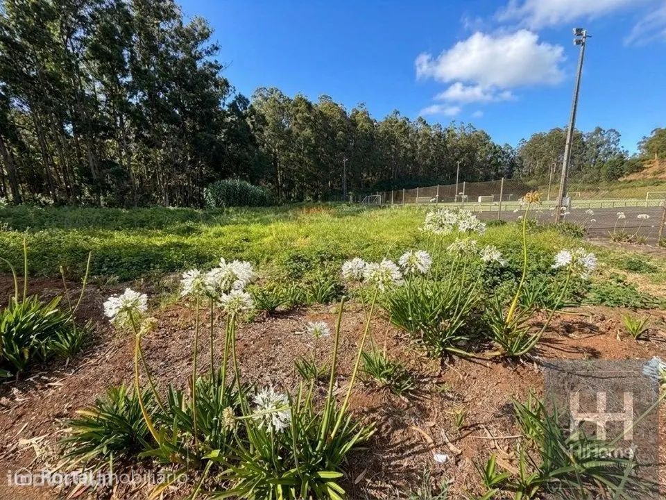 Land for sale in Porto Moniz
