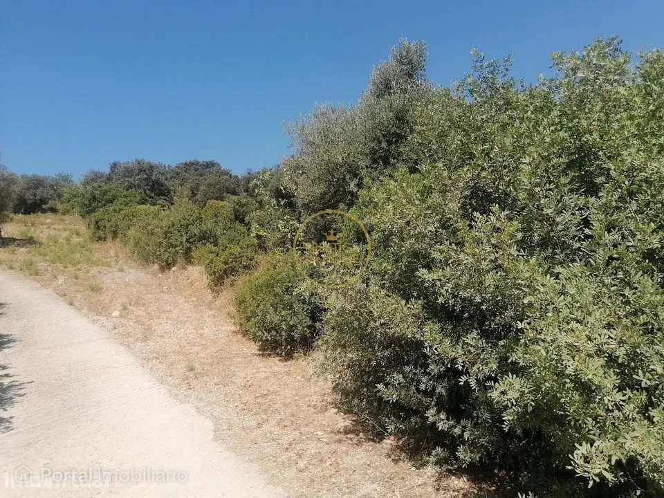 Land for sale in Loulé (São Clemente)