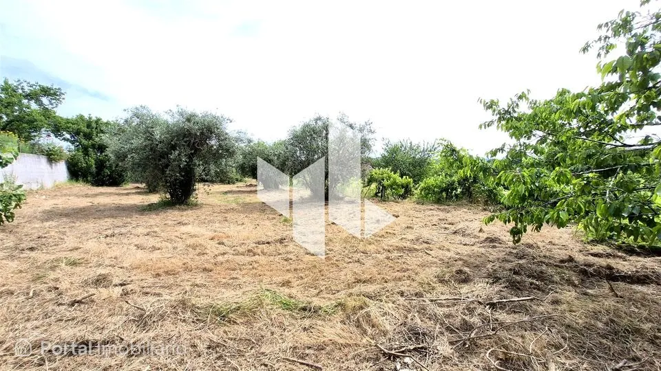 Terreno Para Construção Venda em Tondela e Nandufe,Tondela