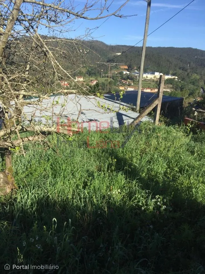 Land for sale in Branca
