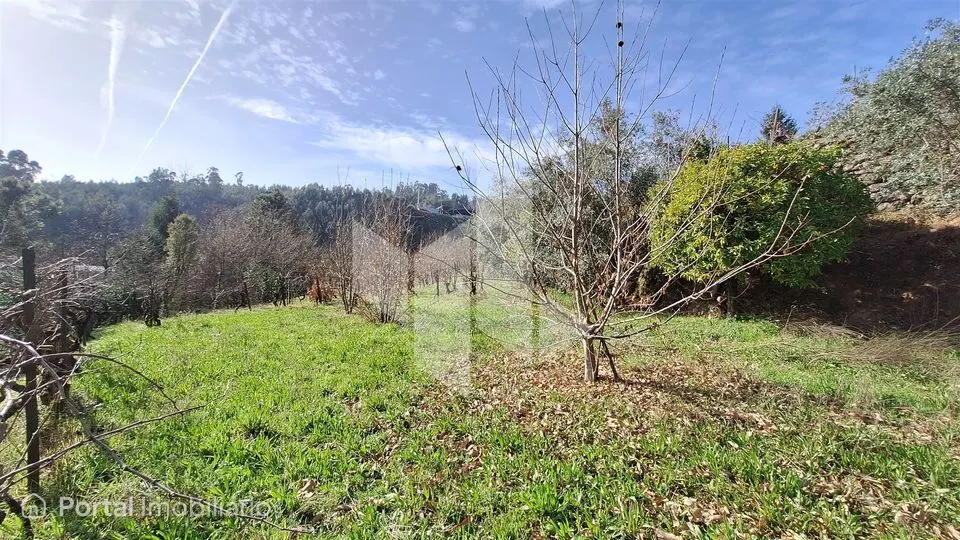 Terreno Rústico Venda em Santiago de Besteiros,Tondela
