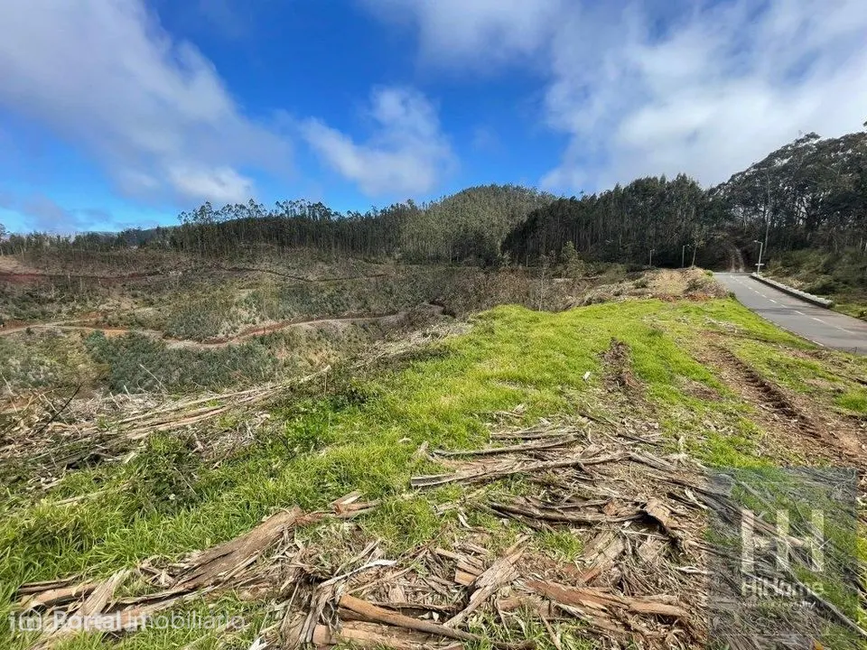 Terreno Rústico com 36.312 m2 no Campanário, Ribeira Brava