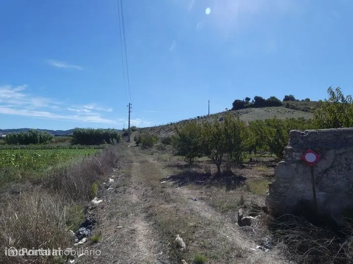 Terreno Agrícola (21437m²) c/ Viabilidade Construção Armazém Agrícola
