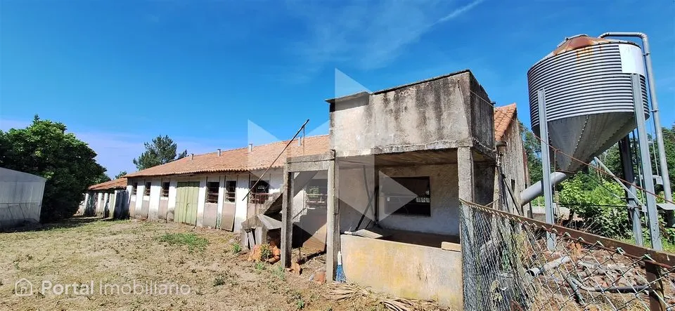 Studio farm for sale in Lobão da Beira