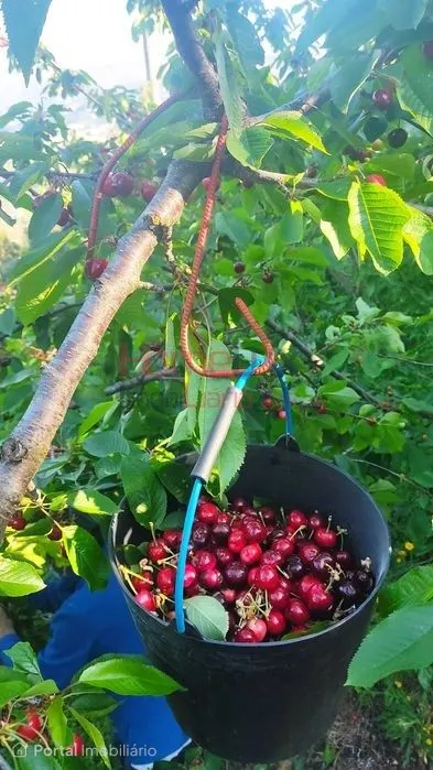 Terreno agrícola