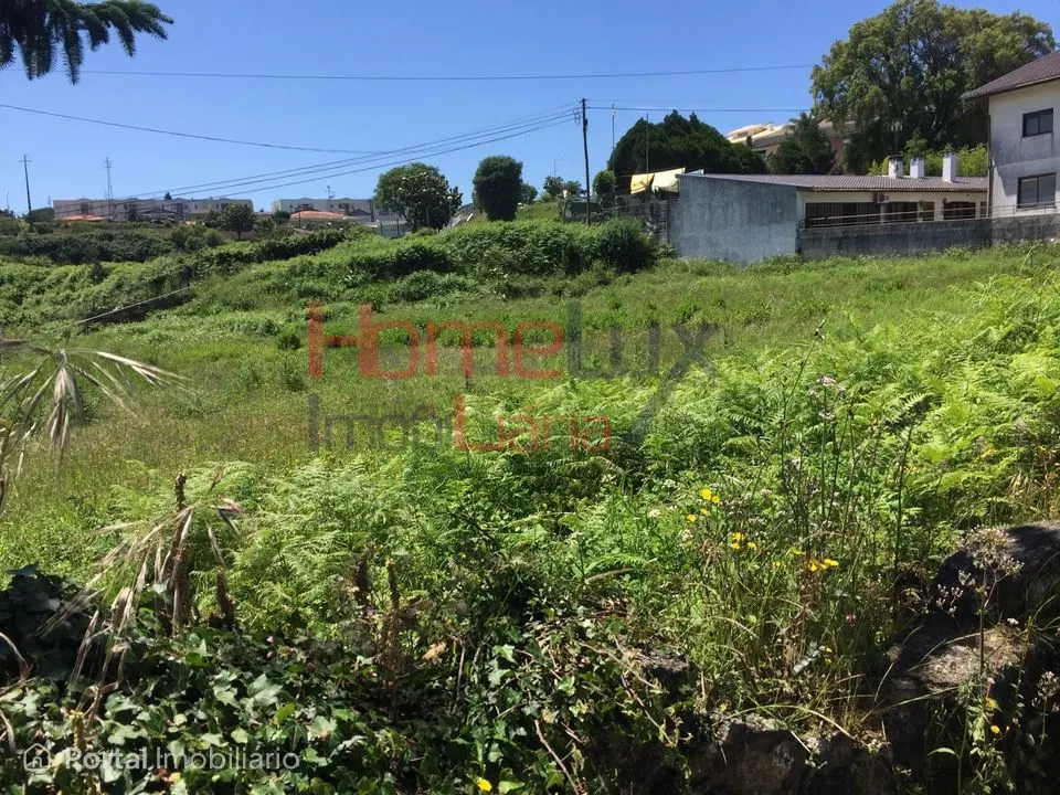 Land for sale in Branca