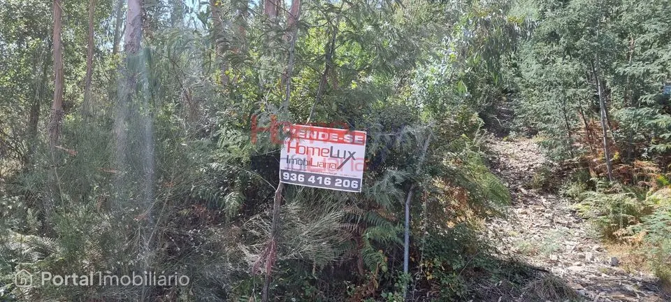 Land for sale in Macieira de Cambra