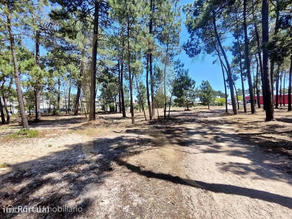 Venda conjunta de 105 lotes de terreno na Urbanização Pinhal de Neg...