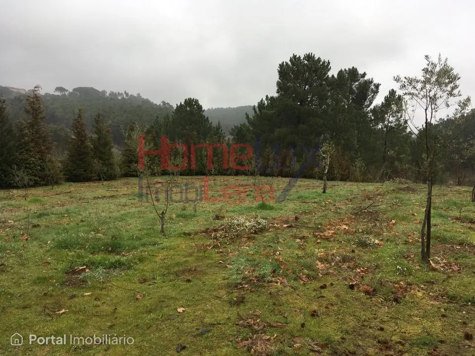 Quinta para venda em Mangualde